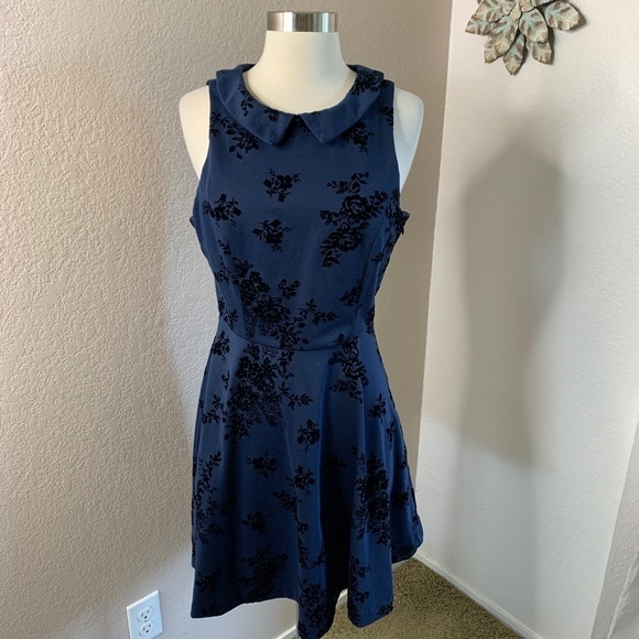 Lauren Conrad Sleeveless Dress Velvet Appliqués - Picture 1 of 9